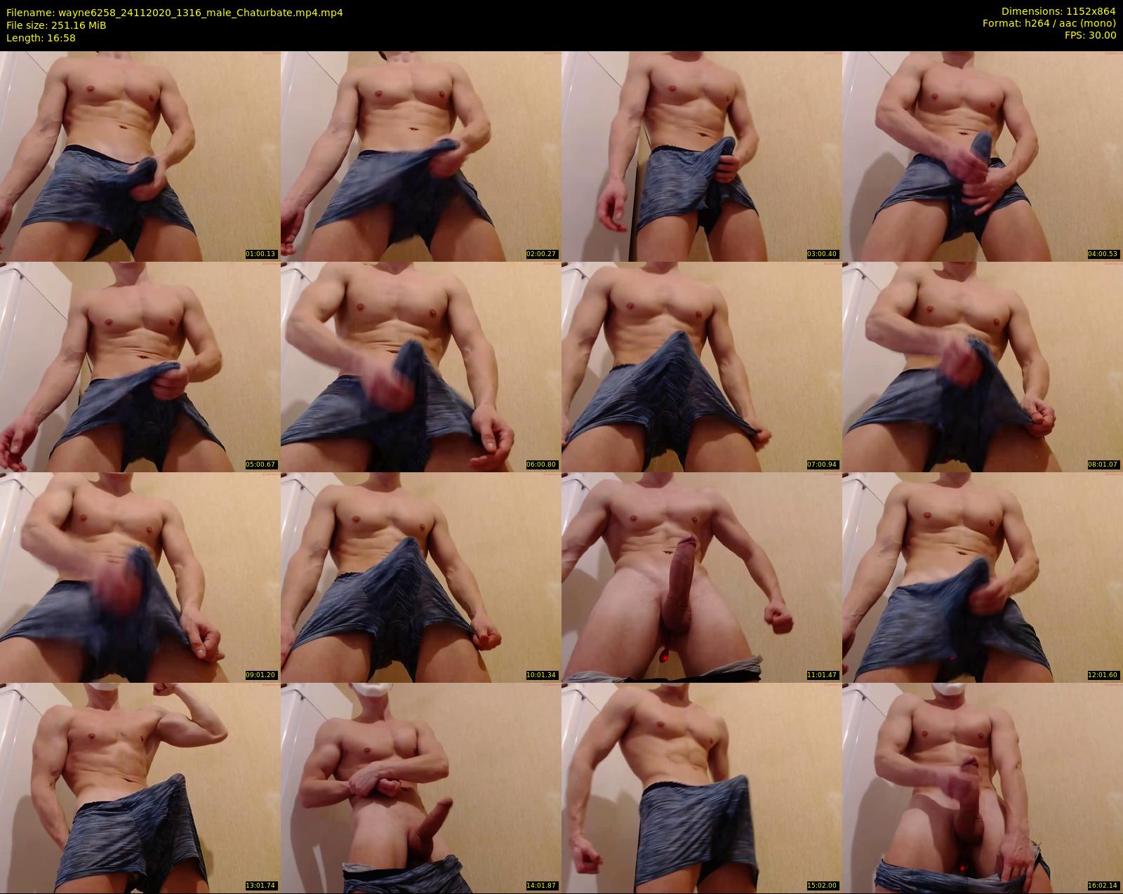 wayne6258 — 17 minute Chaturbate male cam show recording, 720p, Nov 24, 2020
