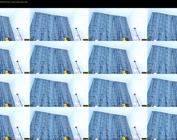 dianaholiday — 10 minute Chaturbate female cam show recording, 1080p, Nov 26, 2020