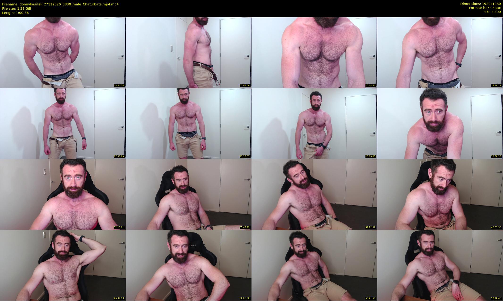 donnybasilisk — 61 minute Chaturbate male cam show recording, 1080p, Nov 27, 2020