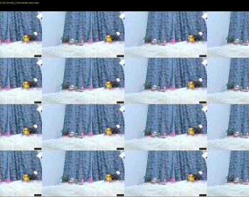 dianaholiday — 30 minute Chaturbate female cam show recording, 1080p, Nov 28, 2020