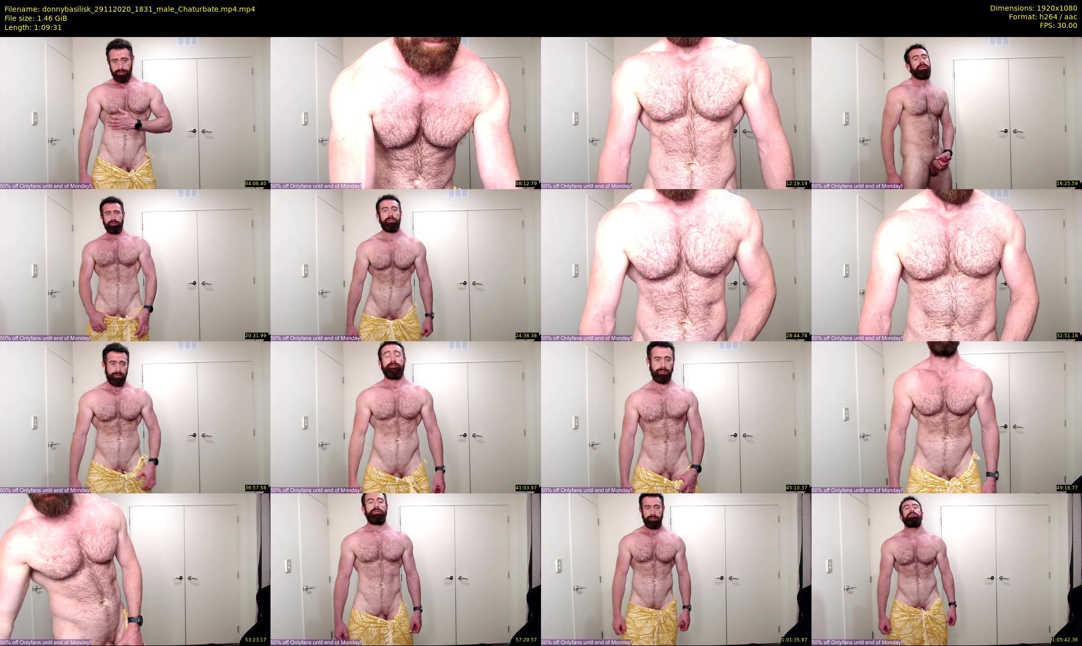 donnybasilisk — 70 minute Chaturbate male cam show recording, 1080p, Nov 29, 2020