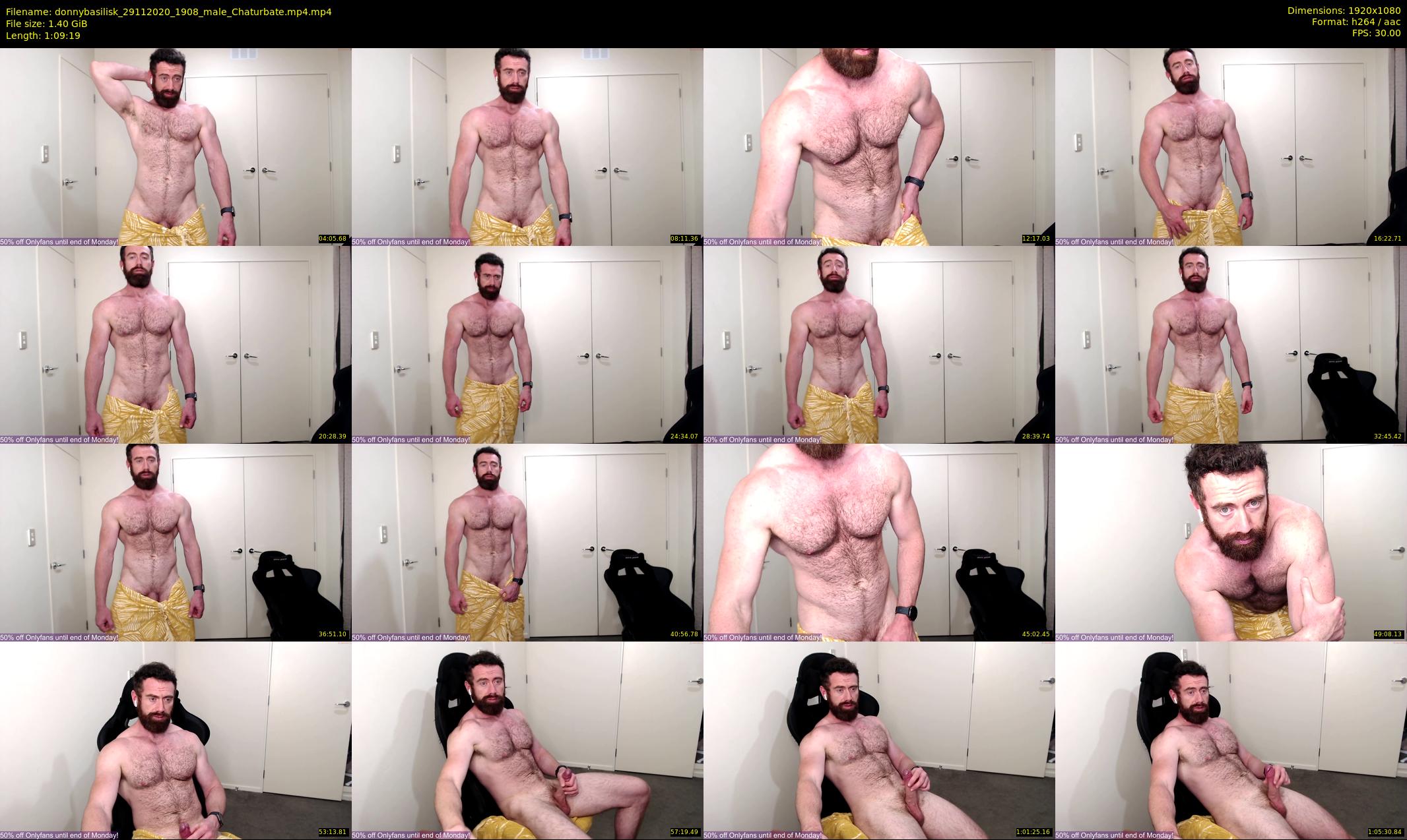 donnybasilisk — 70 minute Chaturbate male cam show recording, 1080p, Nov 29, 2020