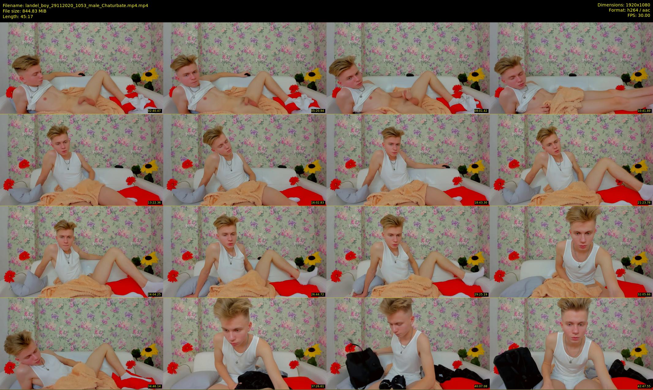 landel_boy — 46 minute Chaturbate male cam show recording, 1080p, Nov 29, 2020