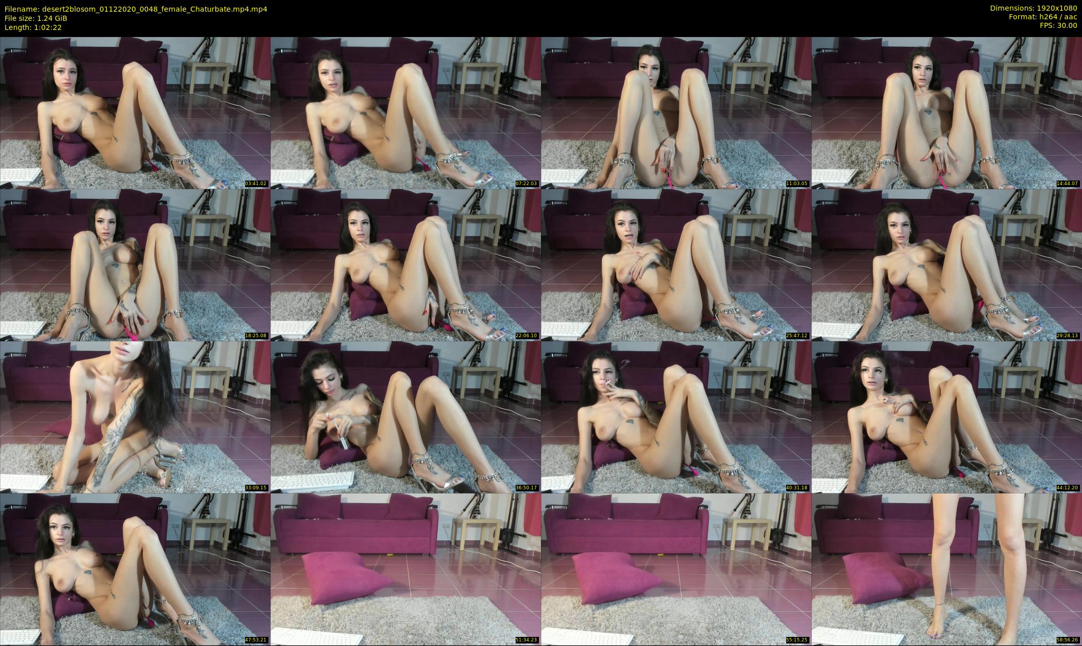 desert2blosom — 63 minute Chaturbate female cam show recording, 1080p, Dec 1, 2020