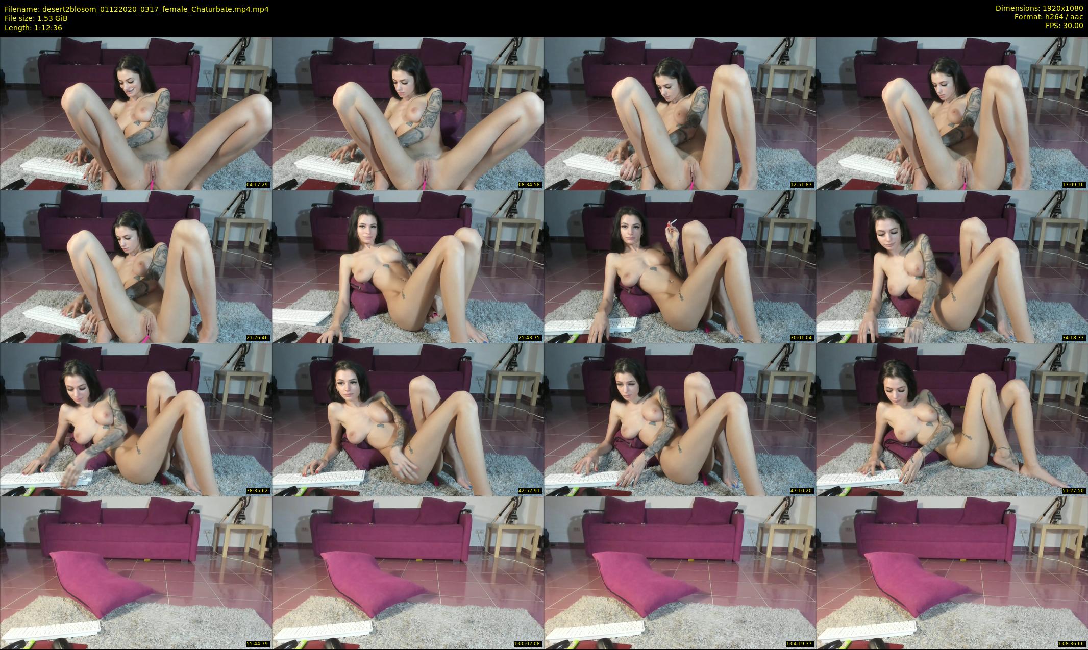 desert2blosom — 73 minute Chaturbate female cam show recording, 1080p, Dec 1, 2020