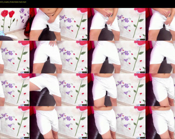 party_starts — 5 minute Chaturbate couple cam show recording, 1080p, Dec 1, 2020