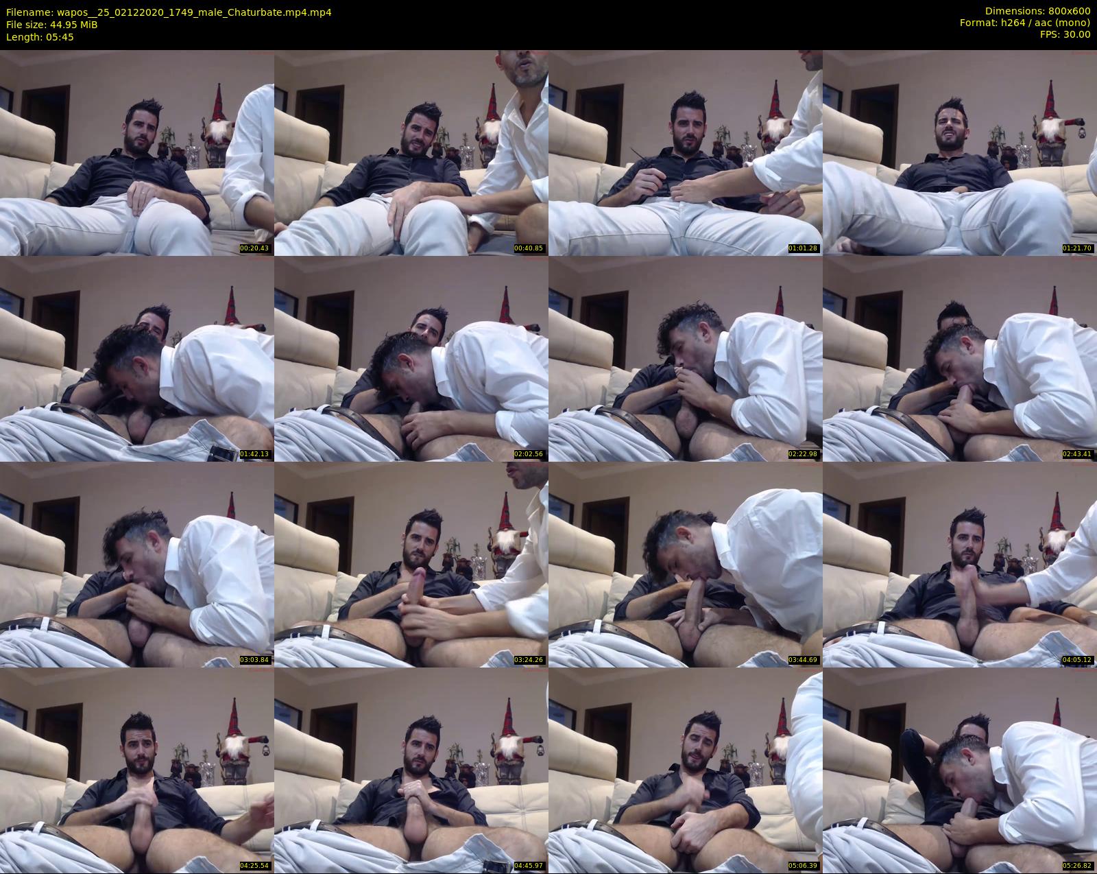 wapos__25 — 6 minute Chaturbate male cam show recording, 480p, Dec 2, 2020