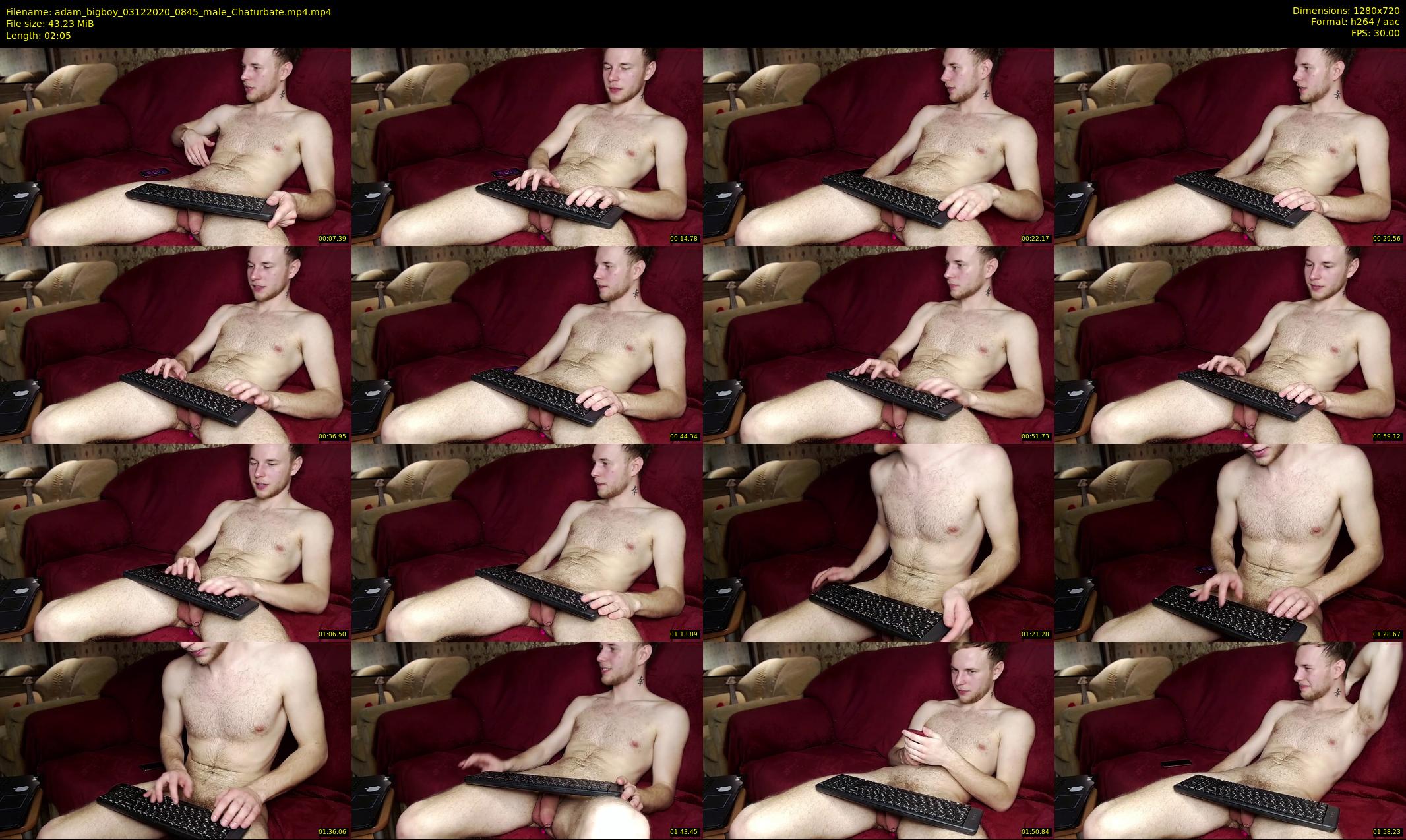 adam_bigboy — 3 minute Chaturbate male cam show recording, 720p, Dec 3, 2020