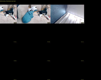 blondiebetsy — 25 minute Chaturbate female cam show recording, 720p, Dec 3, 2020