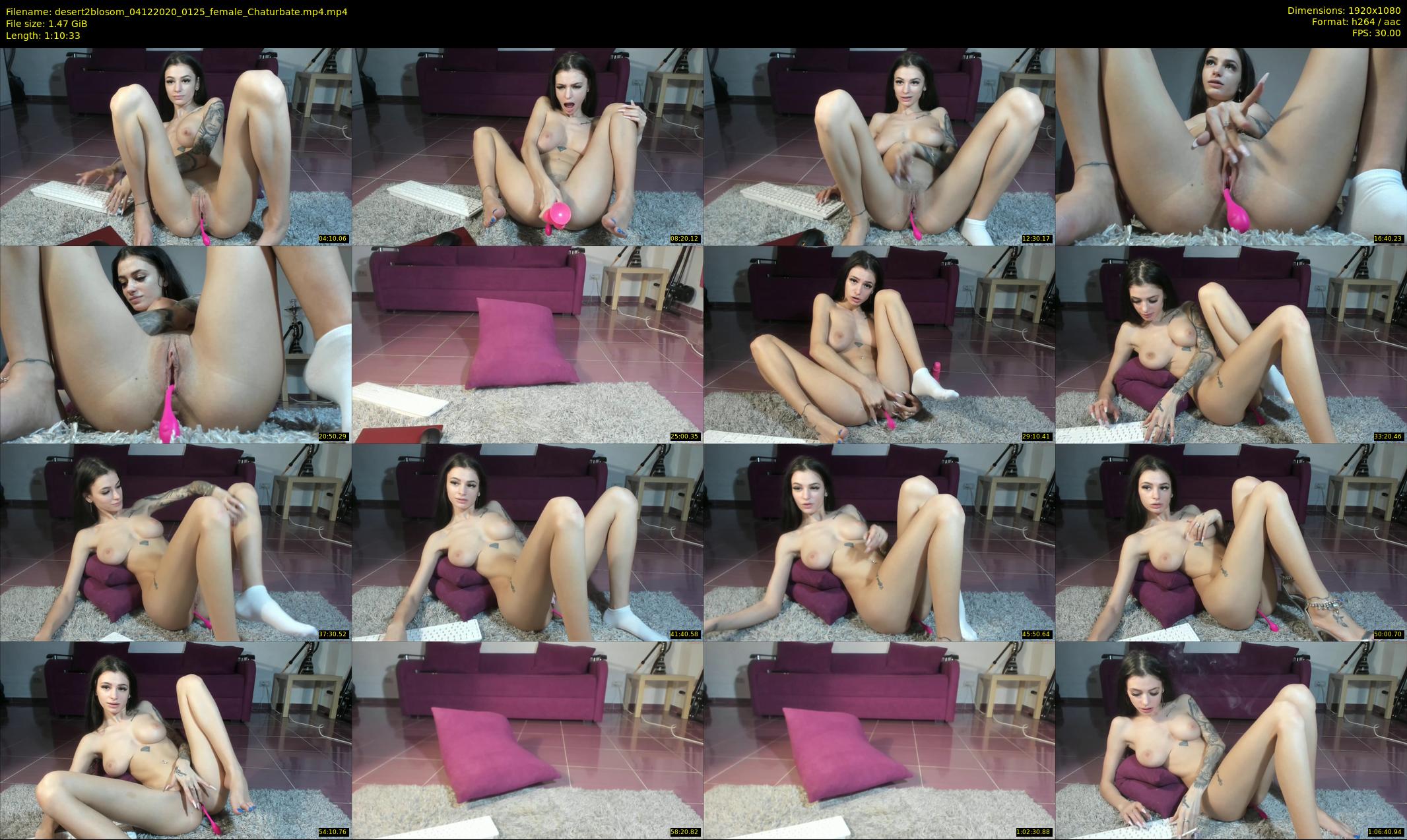 desert2blosom — 71 minute Chaturbate female cam show recording, 1080p, Dec 4, 2020