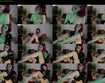 vixenp — 14 minute Chaturbate female cam show recording, 1080p, Dec 4, 2020