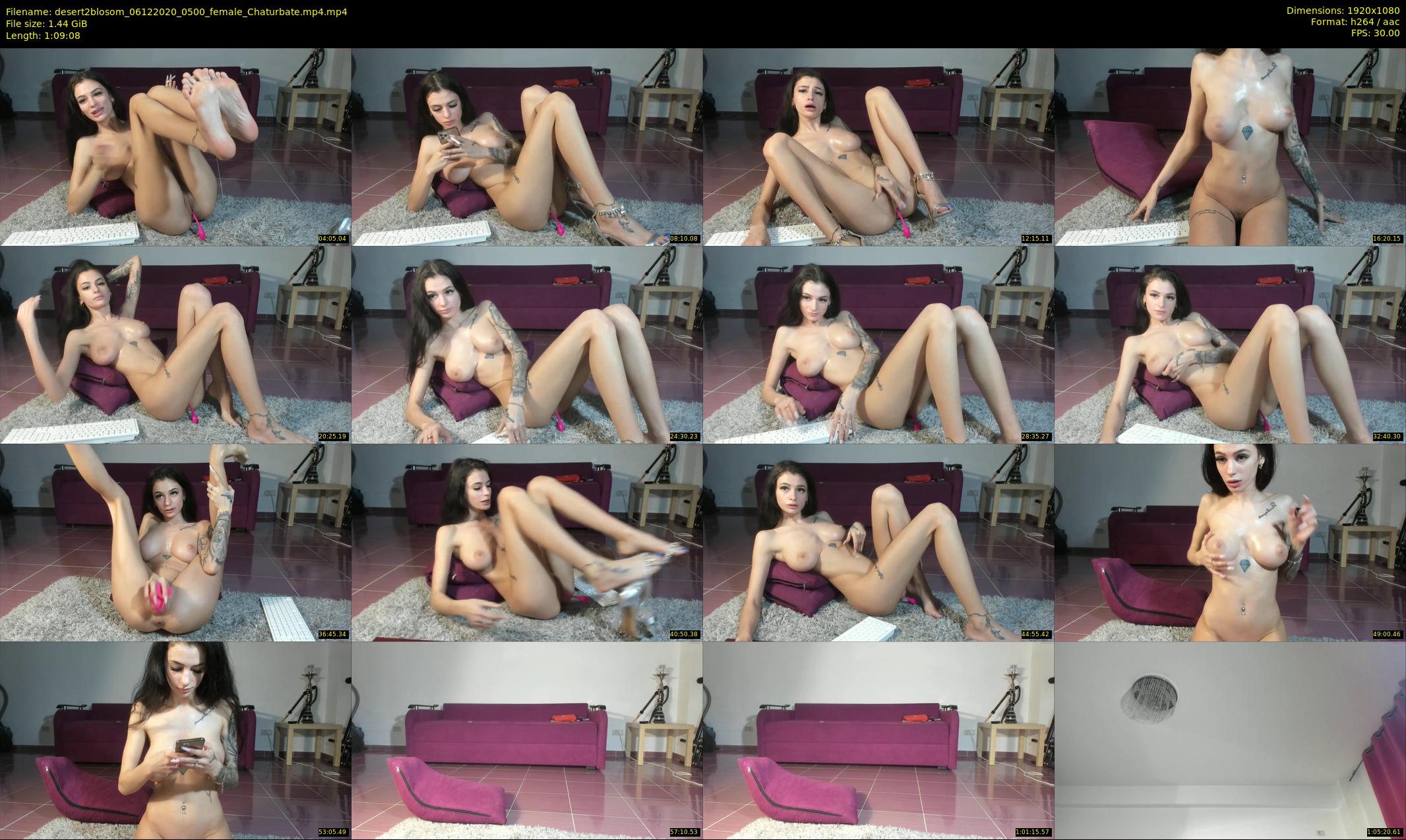 desert2blosom — 70 minute Chaturbate female cam show recording, 1080p, Dec 6, 2020