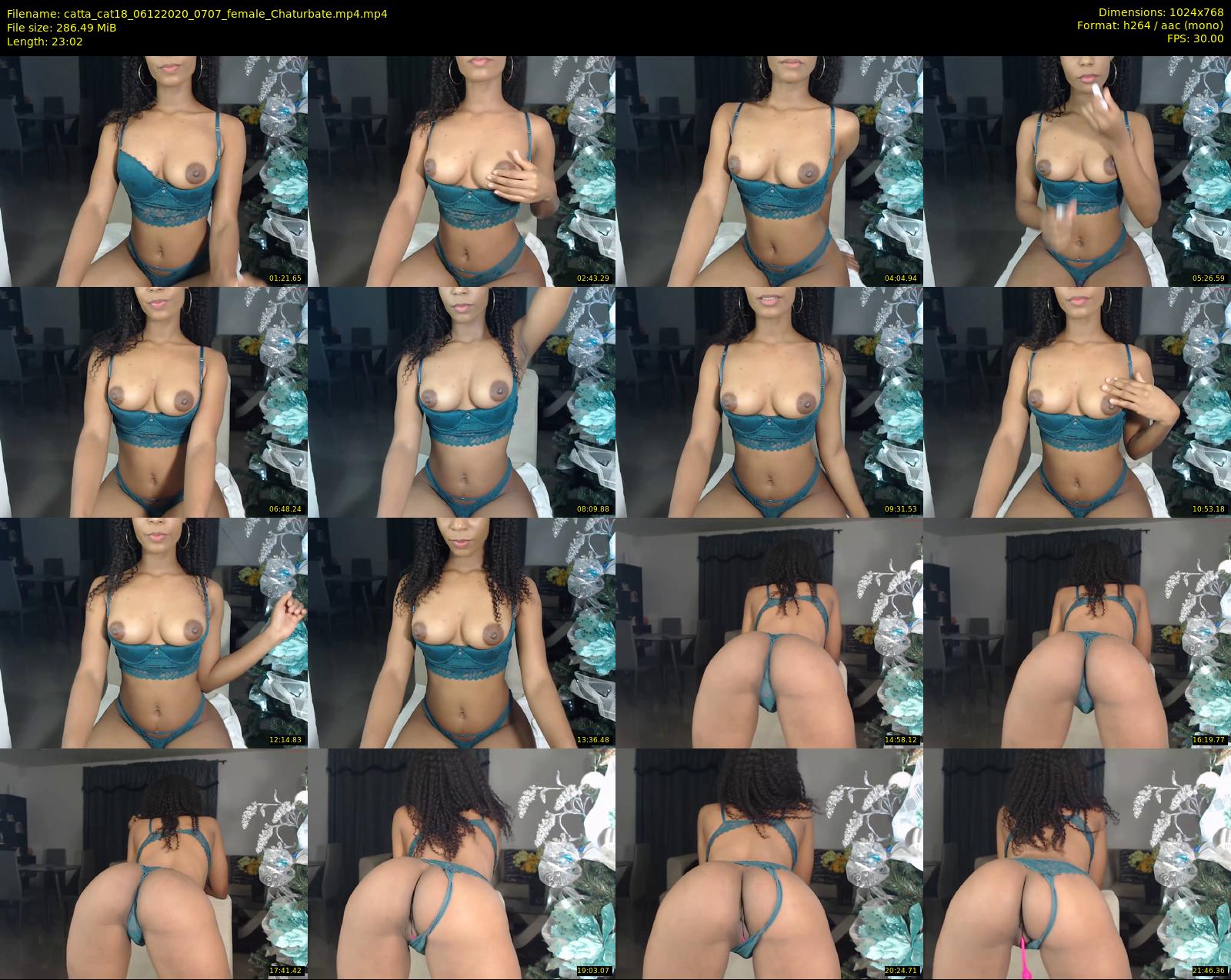 catta_cat18 — 24 minute Chaturbate female cam show recording, 720p, Dec 6, 2020