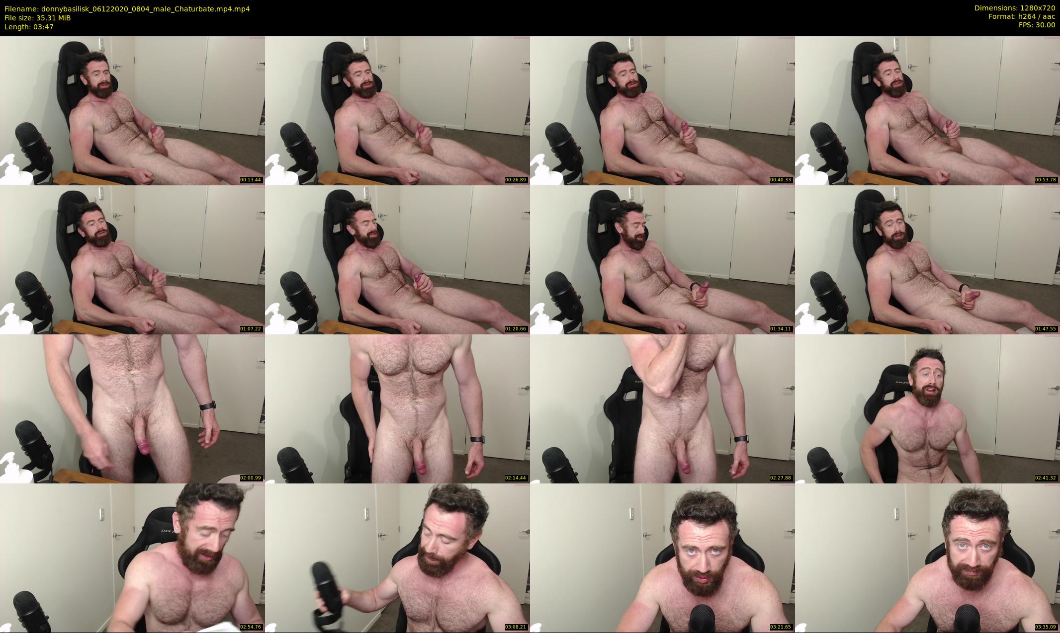 donnybasilisk — 4 minute Chaturbate male cam show recording, 720p, Dec 6, 2020