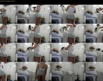 laylabrasil — 13 minute Chaturbate female cam show recording, 480p, Dec 6, 2020