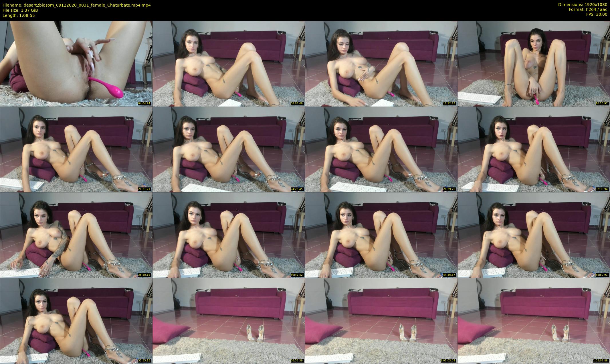 desert2blosom — 69 minute Chaturbate female cam show recording, 1080p, Dec 9, 2020