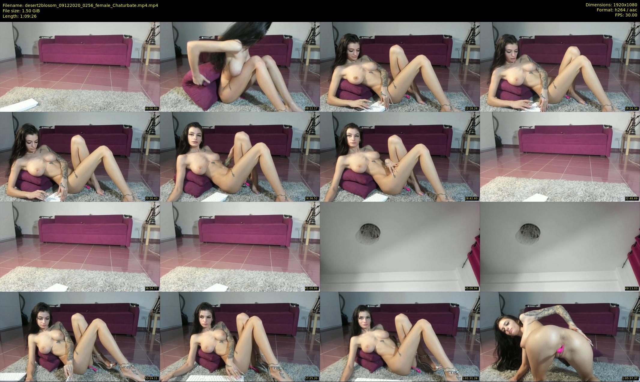 desert2blosom — 70 minute Chaturbate female cam show recording, 1080p, Dec 9, 2020