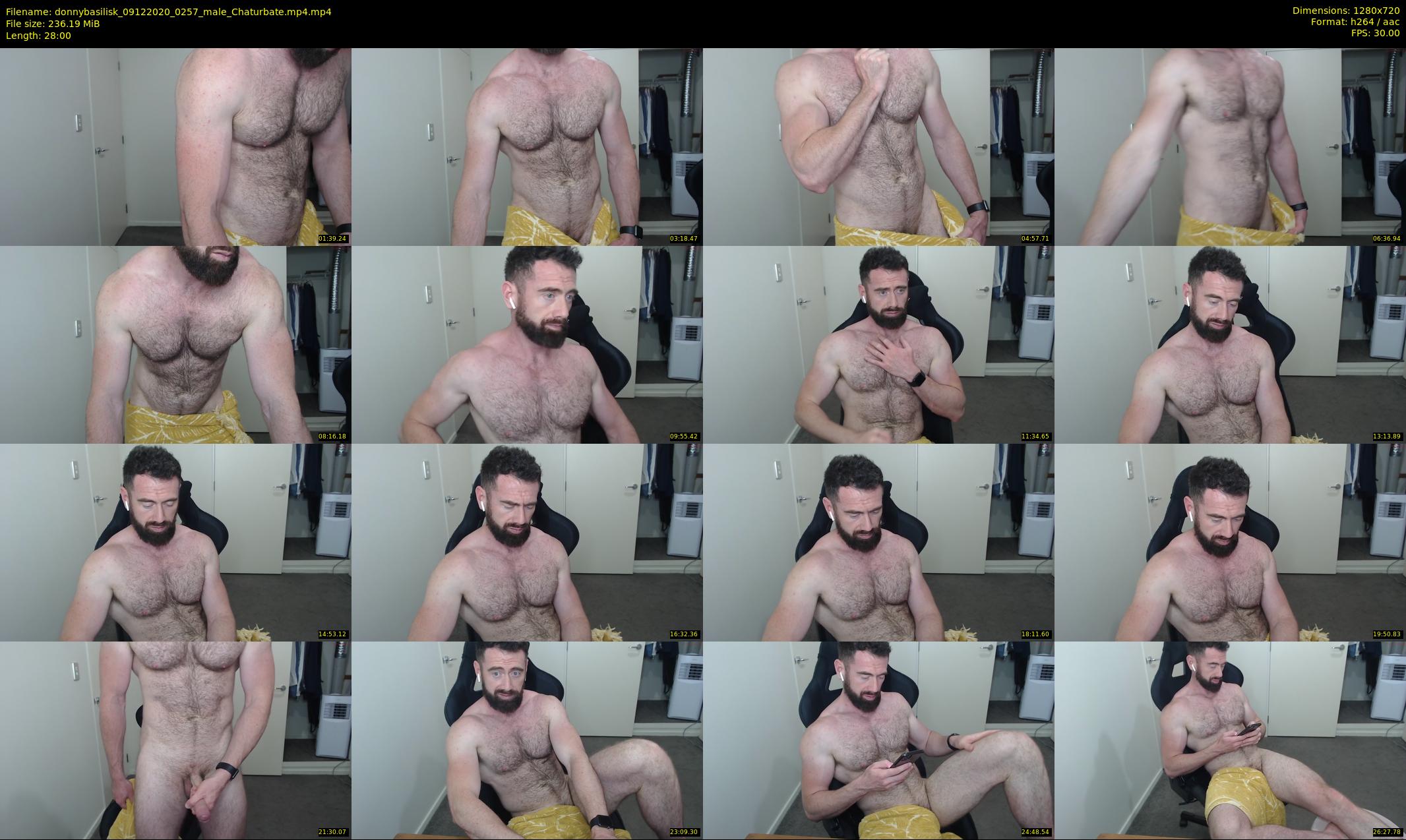 donnybasilisk — 28 minute Chaturbate male cam show recording, 720p, Dec 9, 2020