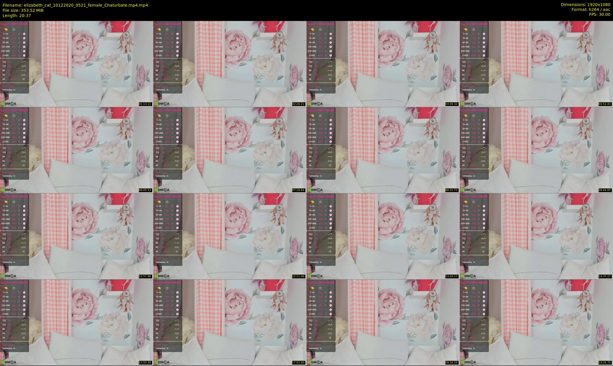 elizabeth_cat — 21 minute Chaturbate female cam show recording, 1080p, Dec 10, 2020