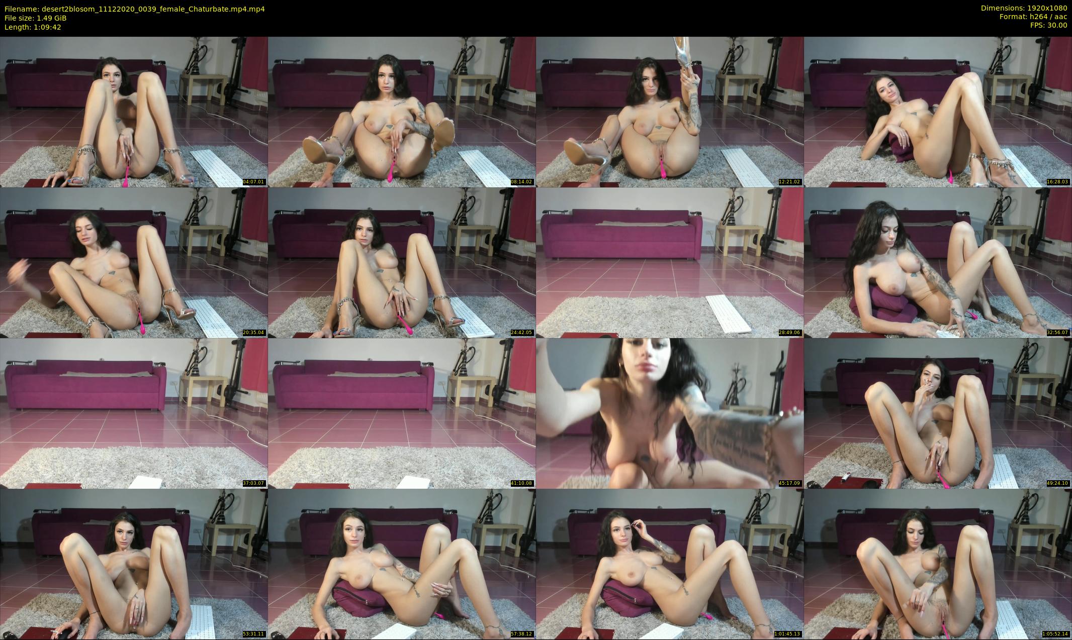 desert2blosom — 70 minute Chaturbate female cam show recording, 1080p, Dec 11, 2020