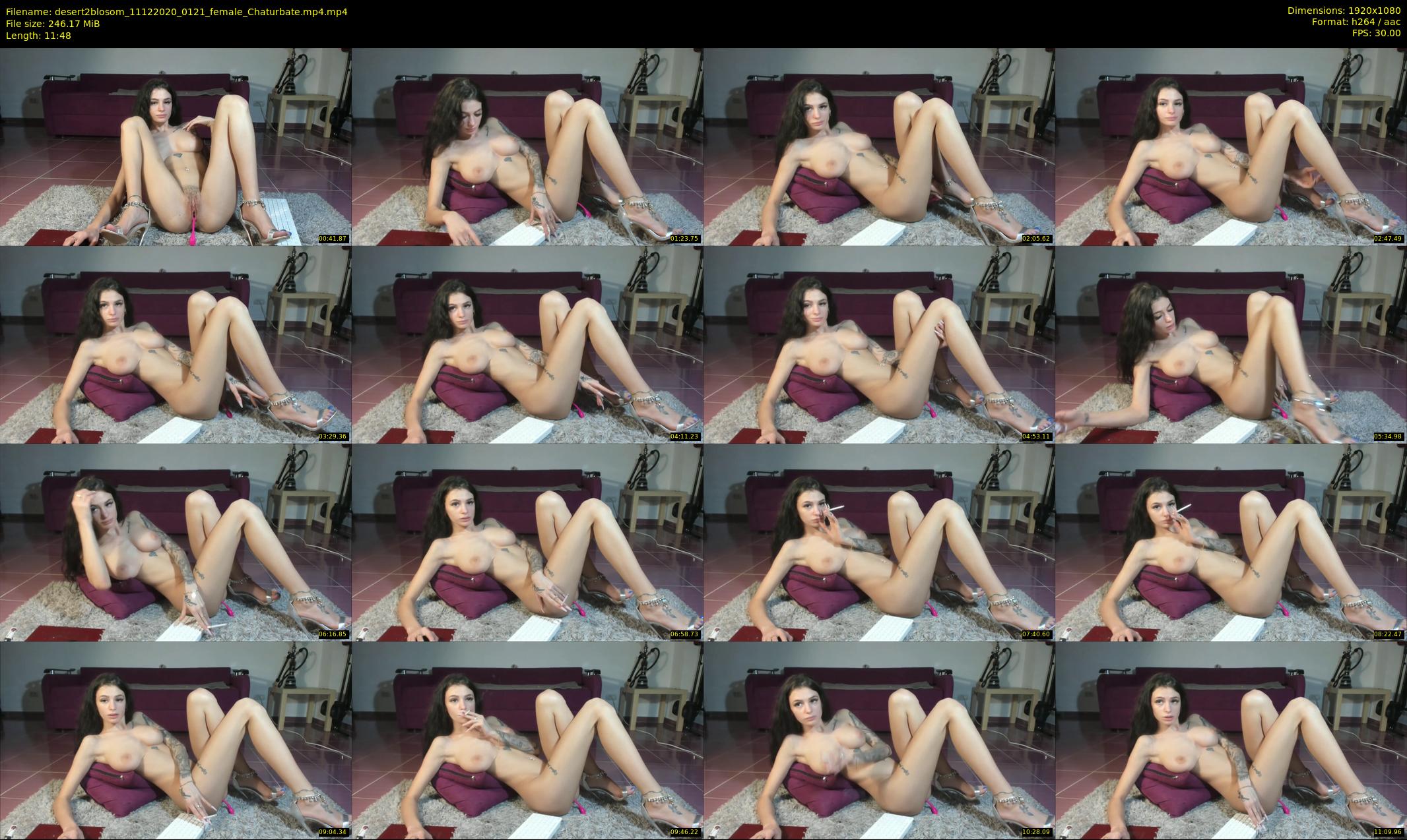 desert2blosom — 12 minute Chaturbate female cam show recording, 1080p, Dec 11, 2020