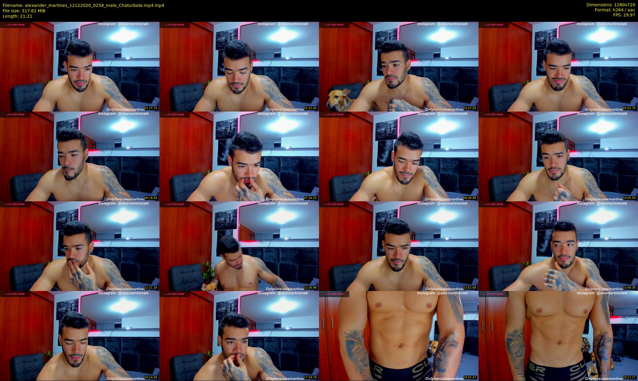 alexander_martines — 22 minute Chaturbate male cam show recording, 720p, Dec 12, 2020