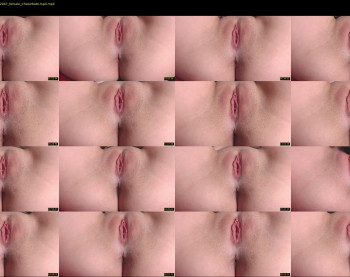 small_angels — 32 minute Chaturbate female cam show recording, 1080p, Dec 11, 2020