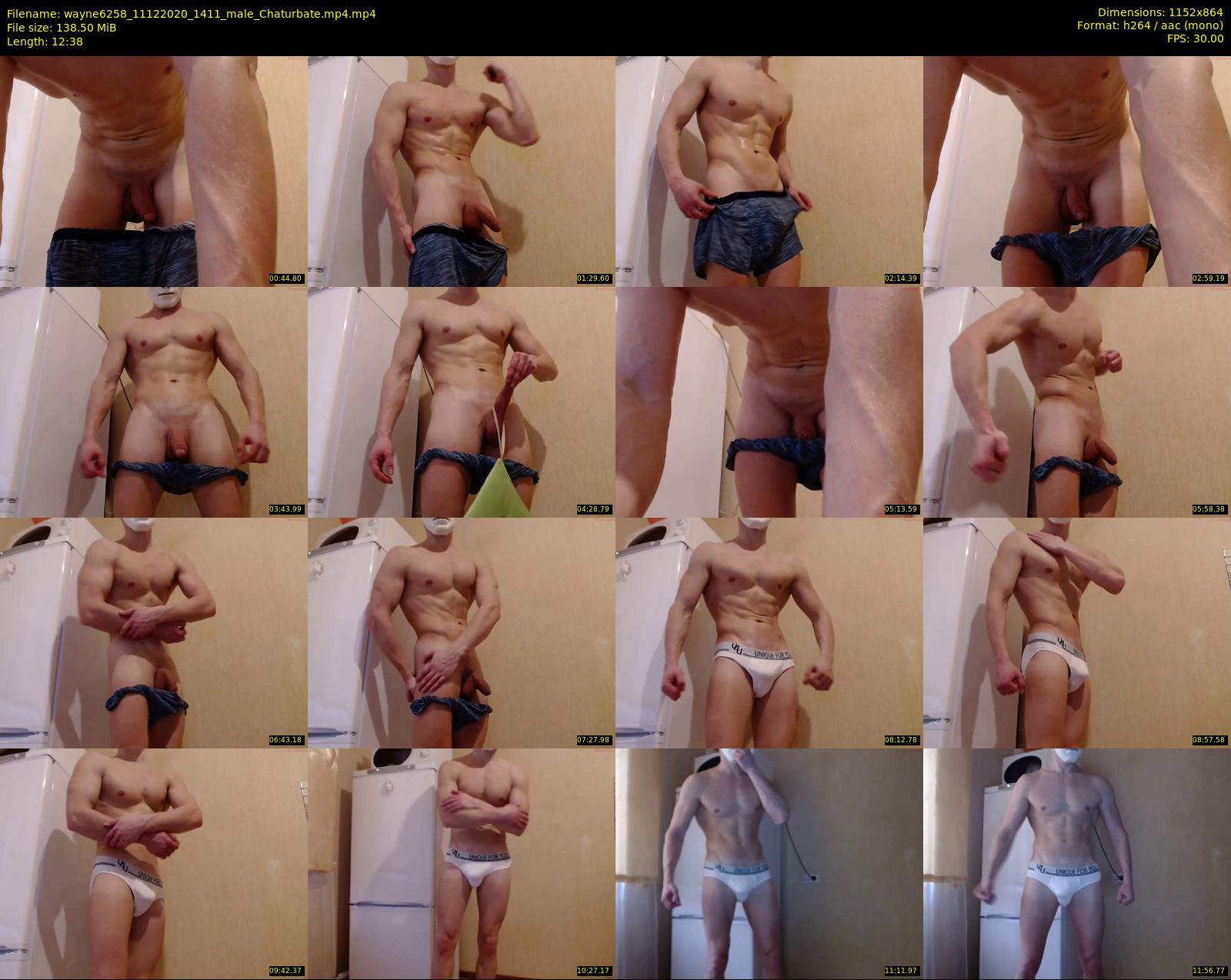 wayne6258 — 13 minute Chaturbate male cam show recording, 720p, Dec 11, 2020