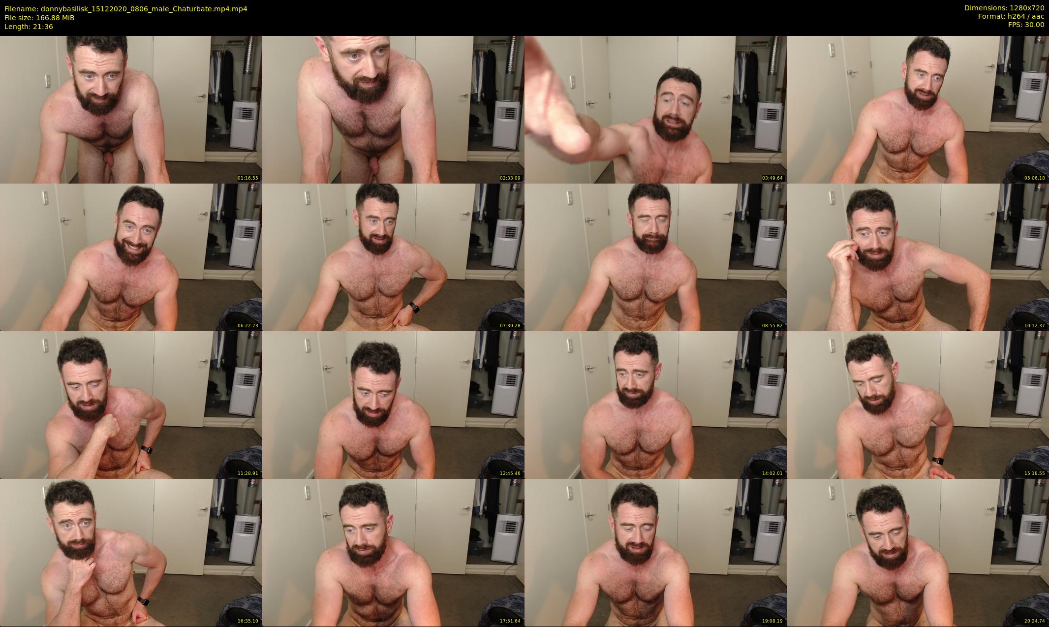 donnybasilisk — 22 minute Chaturbate male cam show recording, 720p, Dec 15, 2020