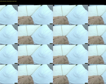 dianaholiday — 3 minute Chaturbate female cam show recording, 1080p, Dec 19, 2020