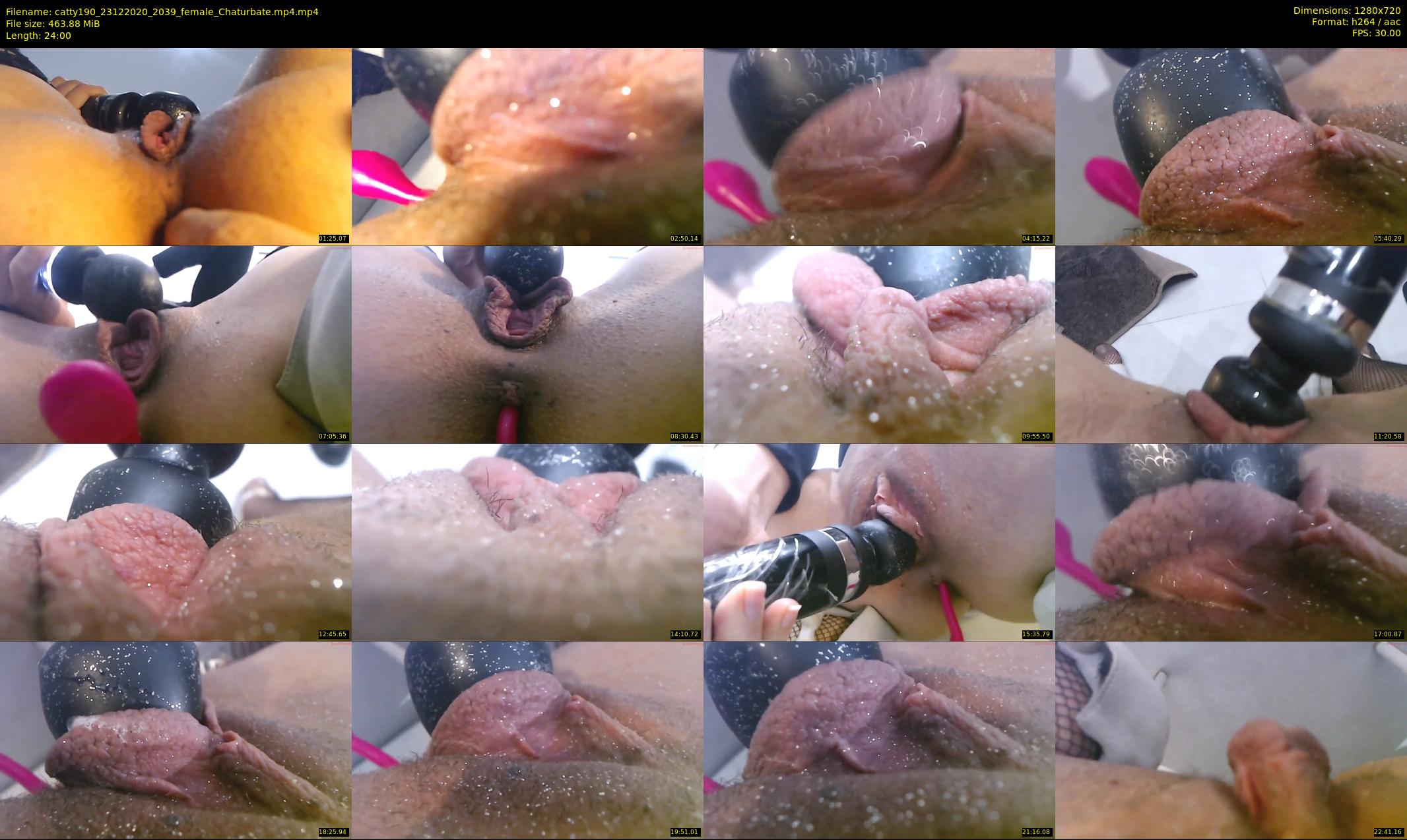 catty190 — 24 minute Chaturbate female cam show recording, 720p, Dec 23, 2020