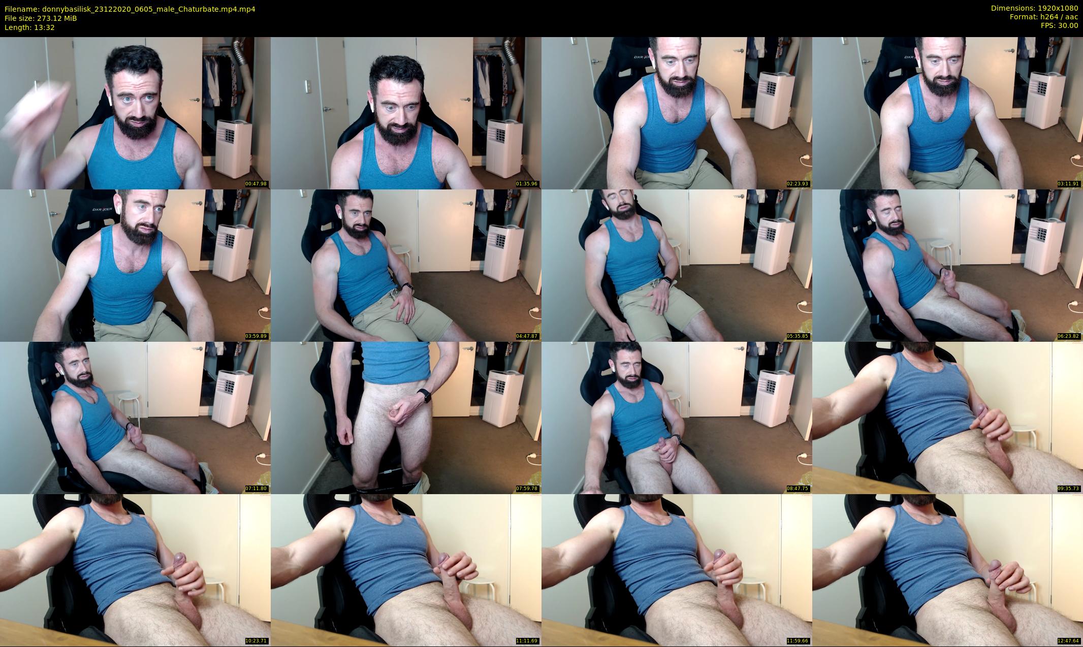 donnybasilisk — 14 minute Chaturbate male cam show recording, 1080p, Dec 23, 2020