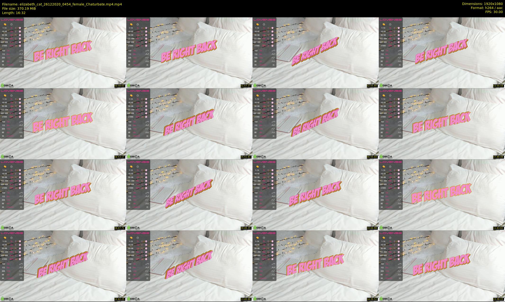 elizabeth_cat — 17 minute Chaturbate female cam show recording, 1080p, Dec 26, 2020