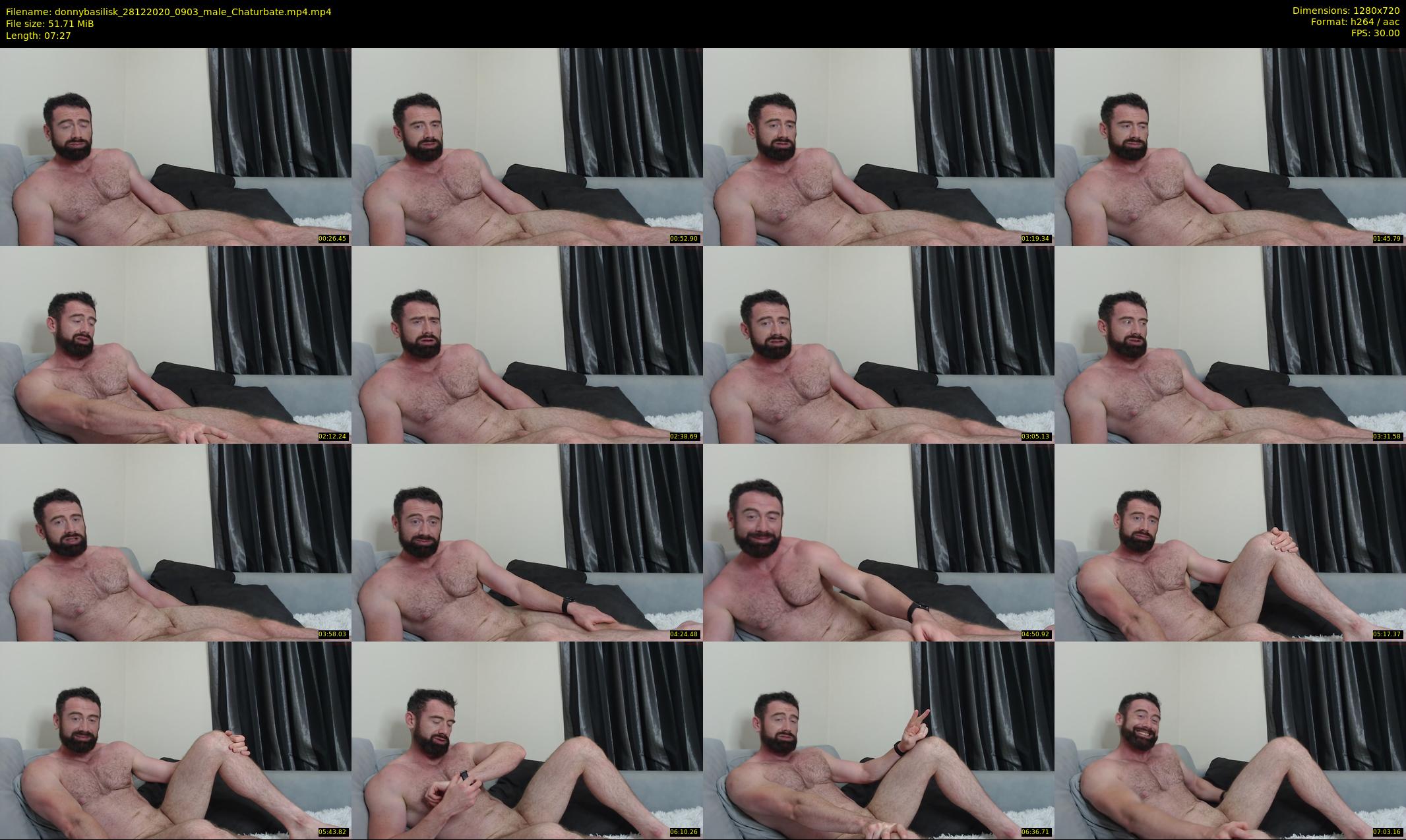 donnybasilisk — 8 minute Chaturbate male cam show recording, 720p, Dec 28, 2020