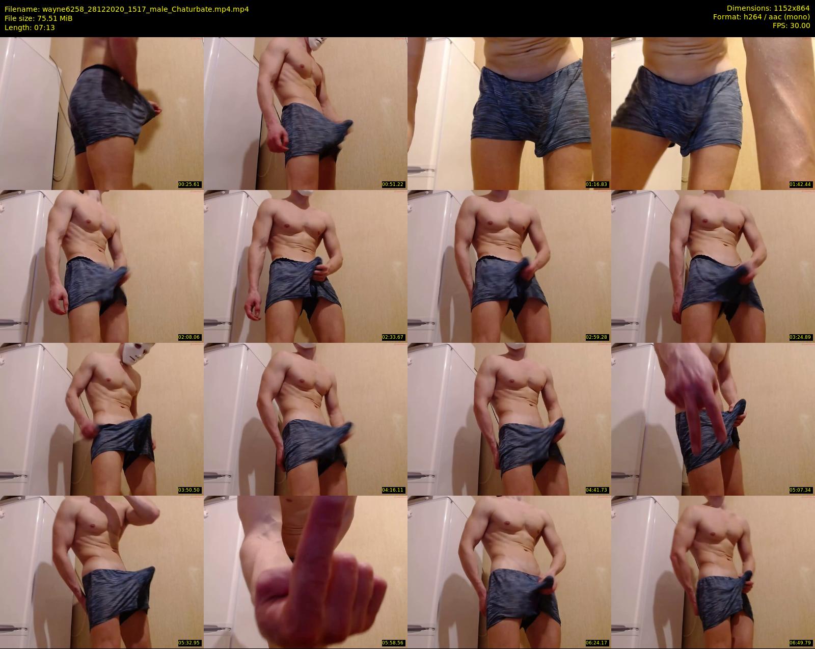 wayne6258 — 8 minute Chaturbate male cam show recording, 720p, Dec 28, 2020