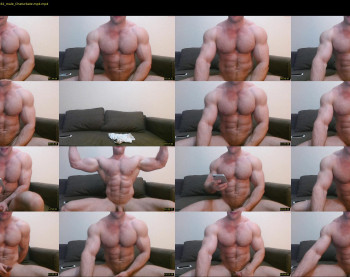 andry_dick — 29 minute Chaturbate male cam show recording, 720p, Dec 30, 2020