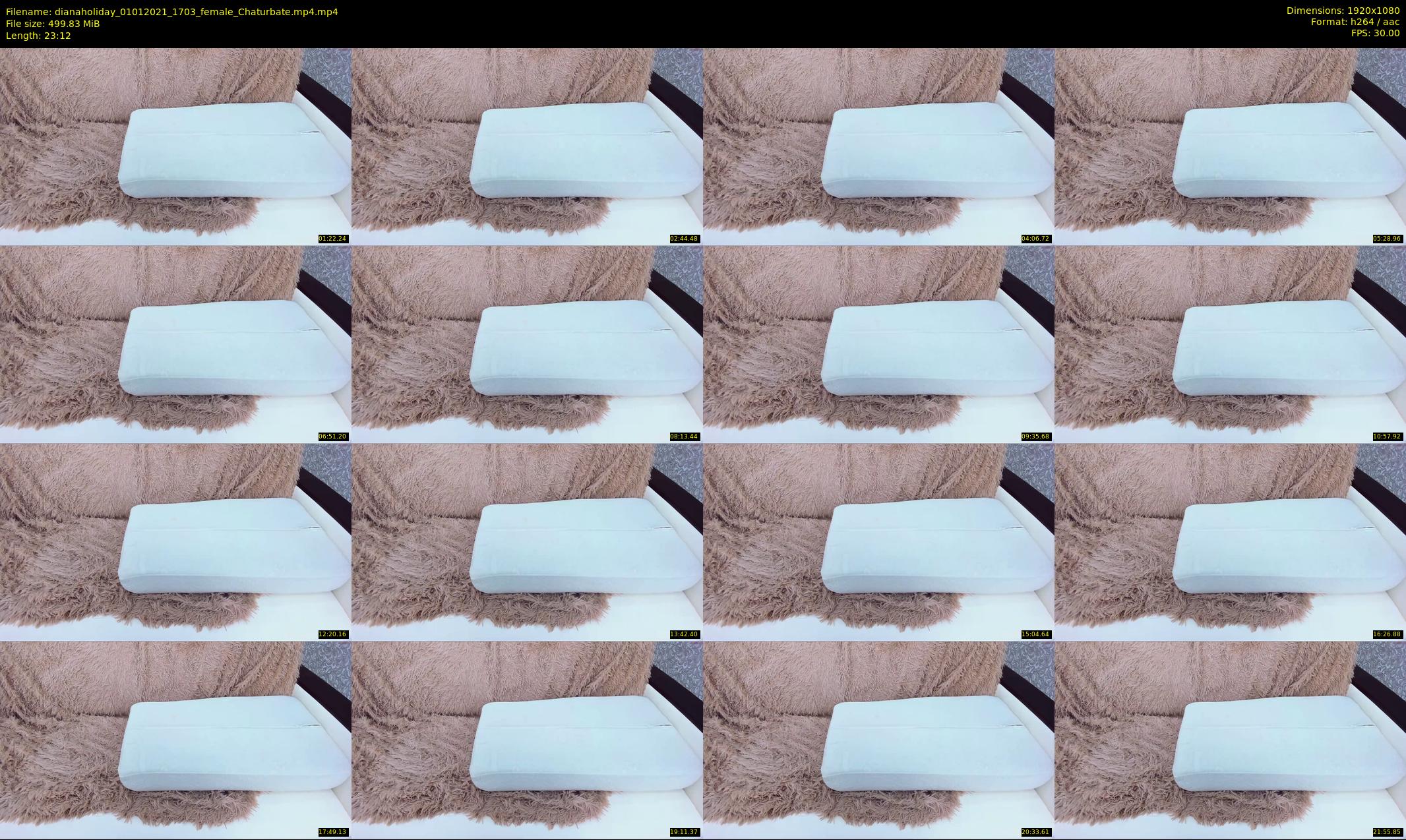 dianaholiday — 24 minute Chaturbate female cam show recording, 1080p, Jan 1, 2021