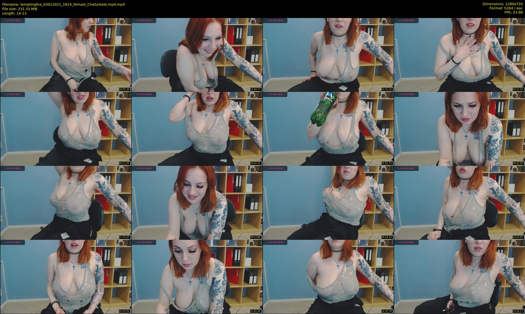 temptingfox — 15 minute Chaturbate female cam show recording, 720p, Jan 3, 2021