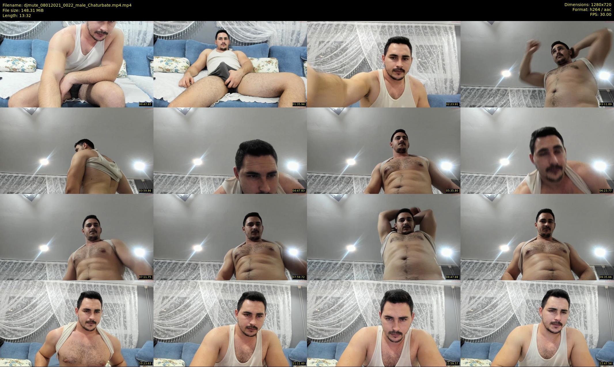 djmute — 14 minute Chaturbate male cam show recording, 720p, Jan 8, 2021