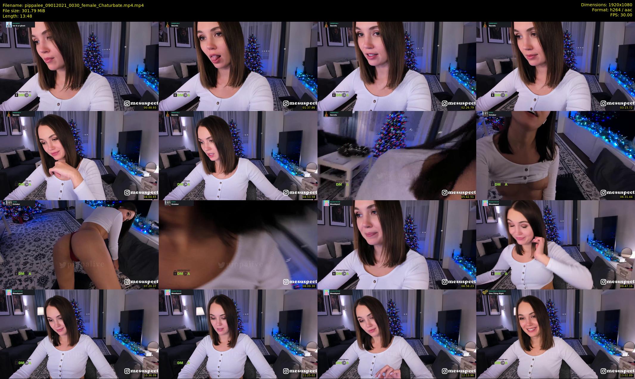 pippalee — 14 minute Chaturbate female cam show recording, 1080p, Jan 9, 2021
