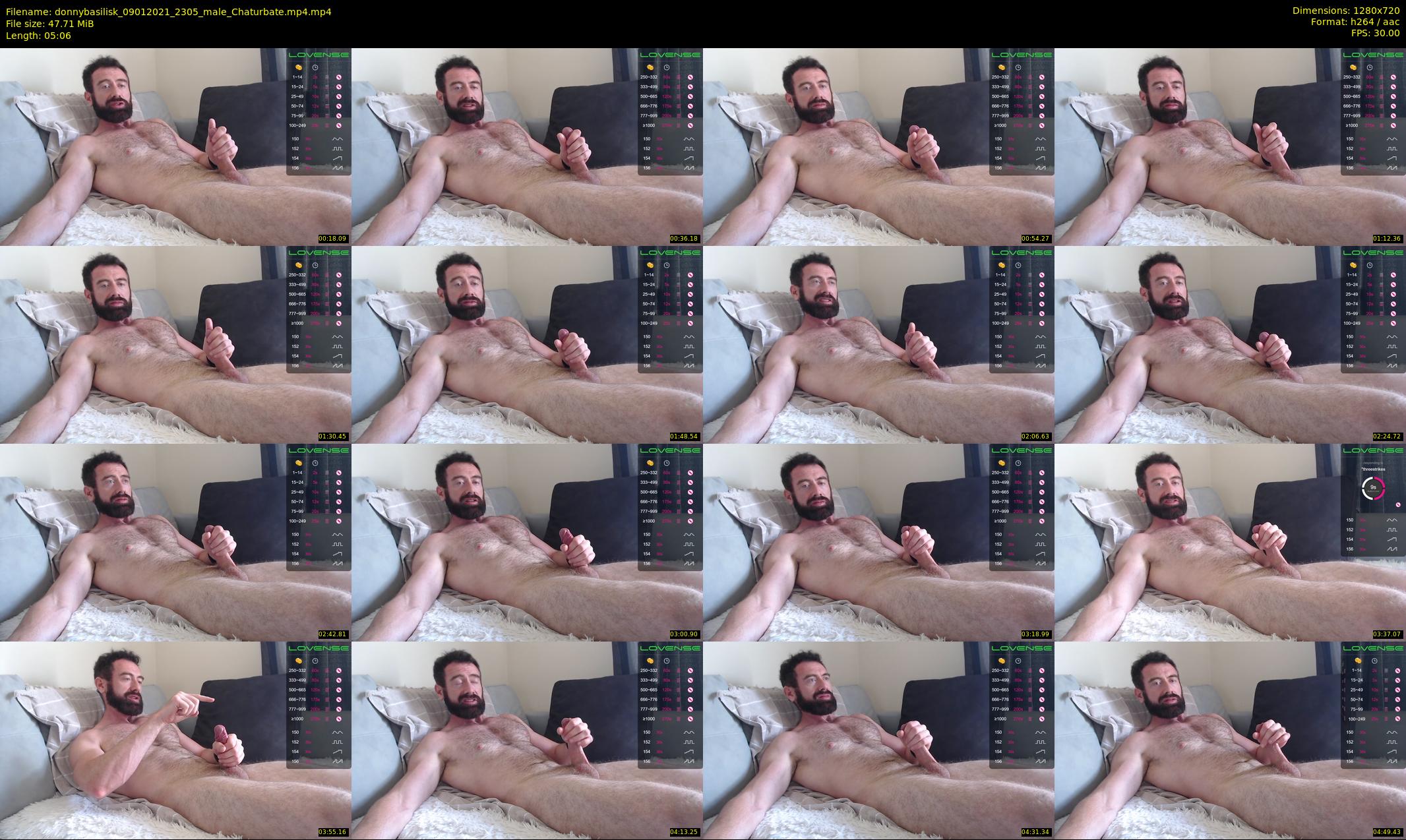 donnybasilisk — 6 minute Chaturbate male cam show recording, 720p, Jan 9, 2021