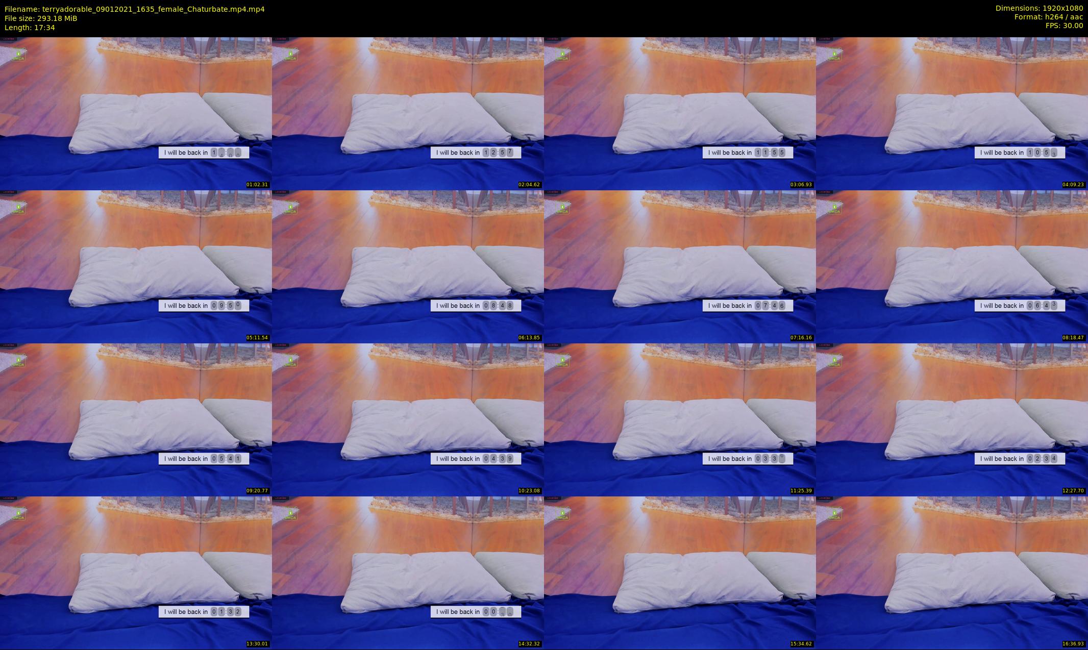 terryadorable — 18 minute Chaturbate female cam show recording, 1080p, Jan 9, 2021