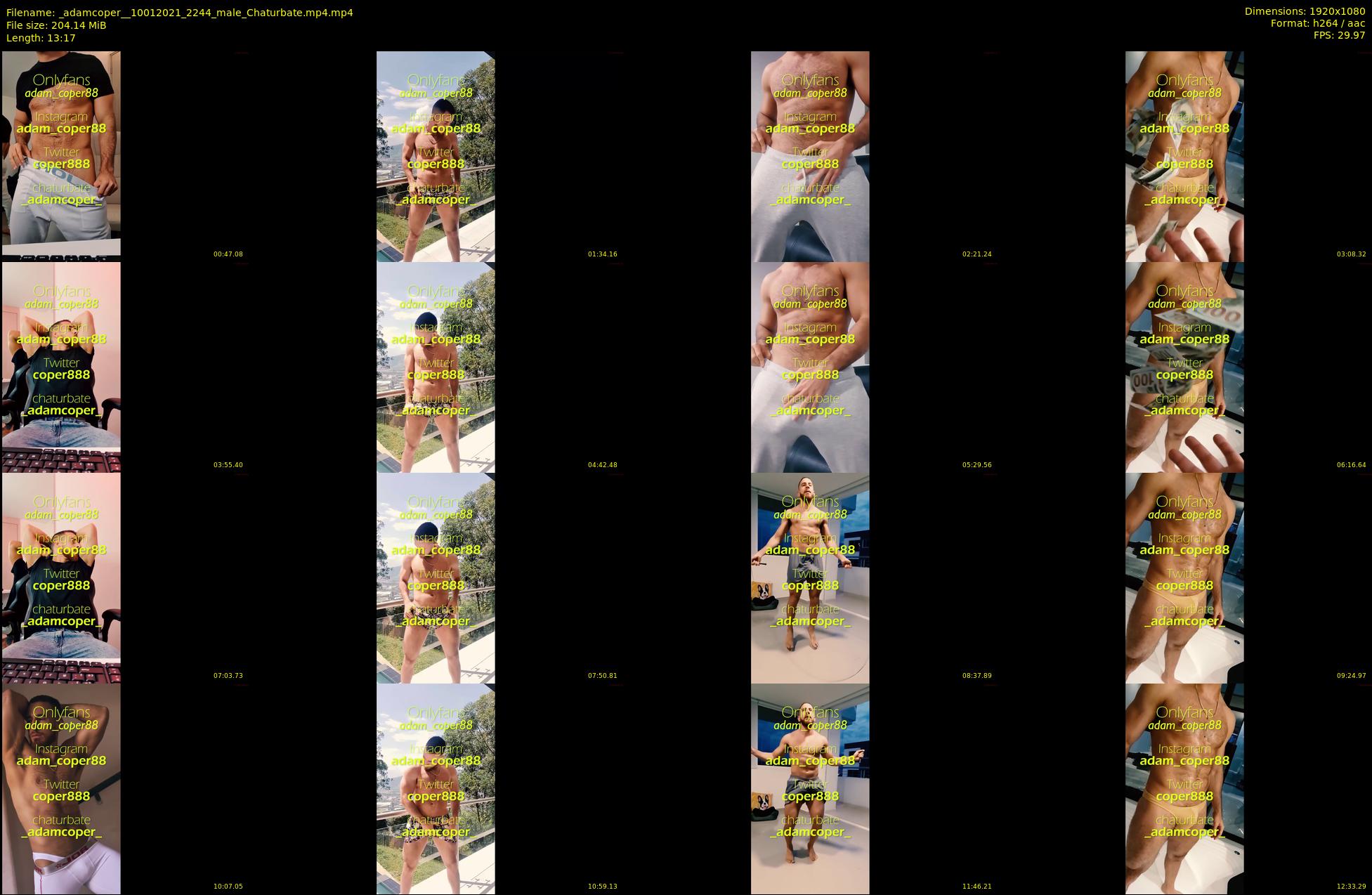_adamcoper_ — 14 minute Chaturbate male cam show recording, 1080p, Jan 10, 2021