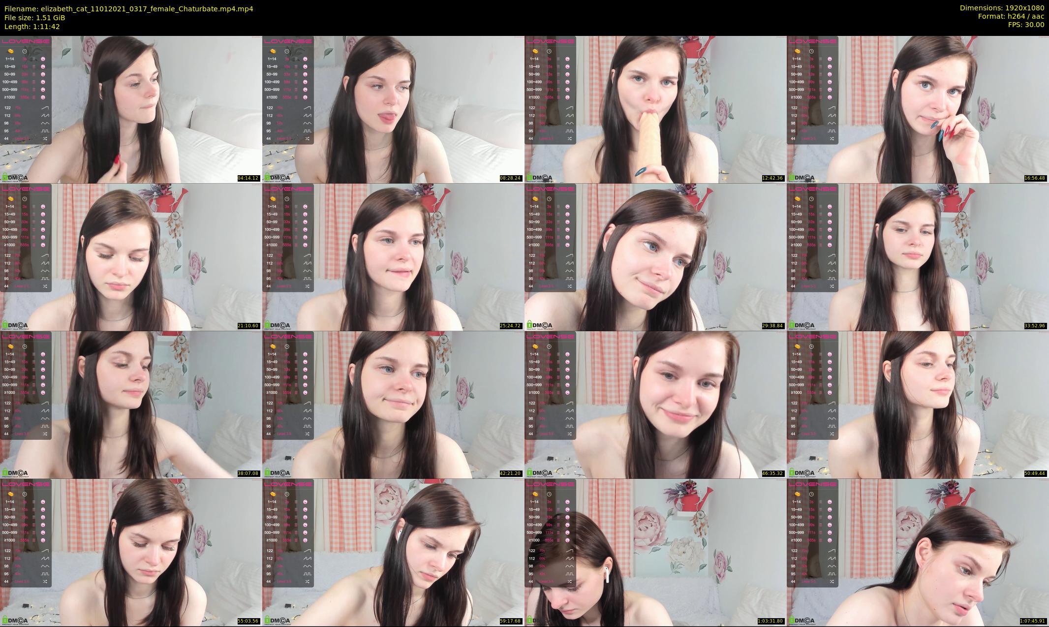 elizabeth_cat — 72 minute Chaturbate female cam show recording, 1080p, Jan 11, 2021