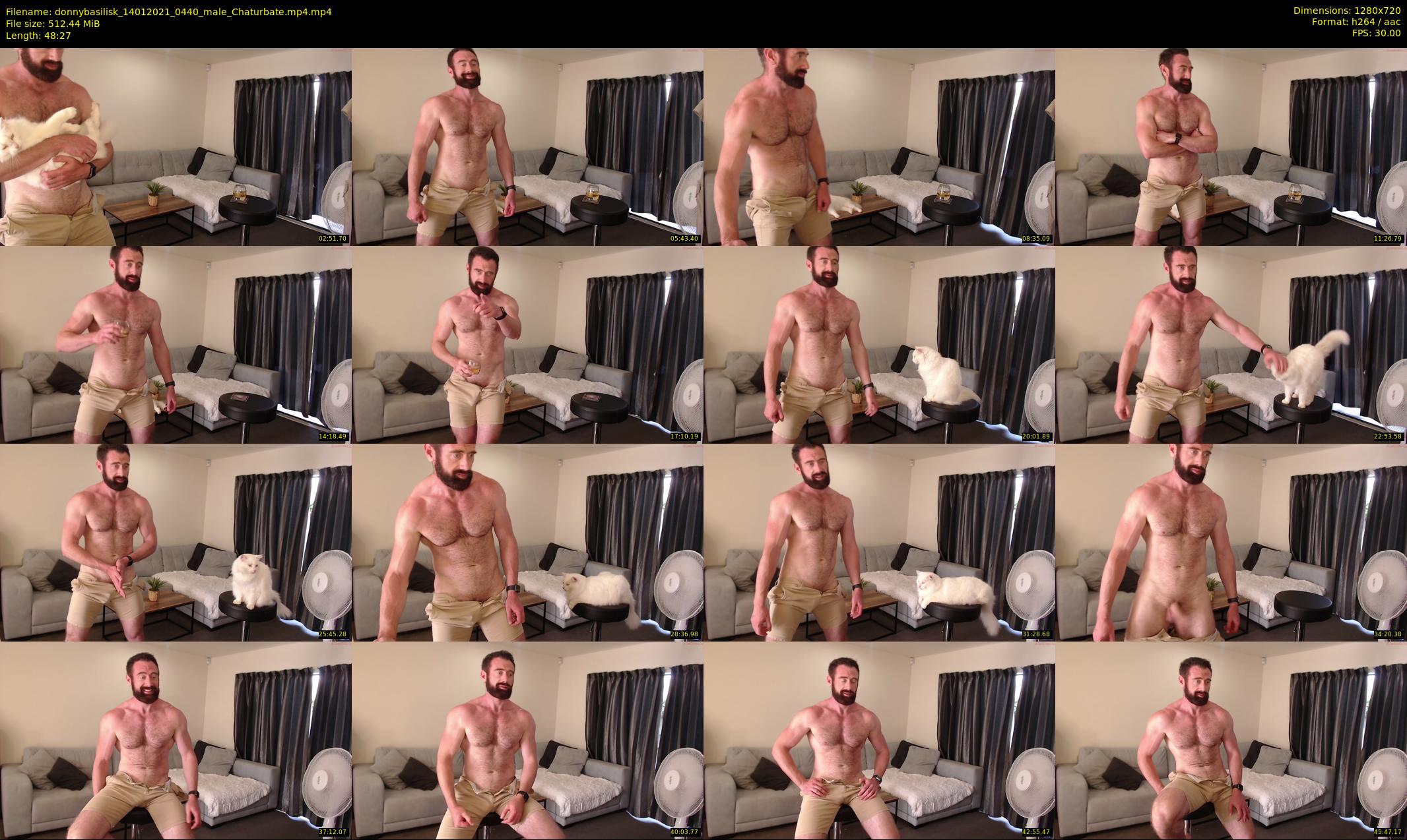 donnybasilisk — 49 minute Chaturbate male cam show recording, 720p, Jan 14, 2021