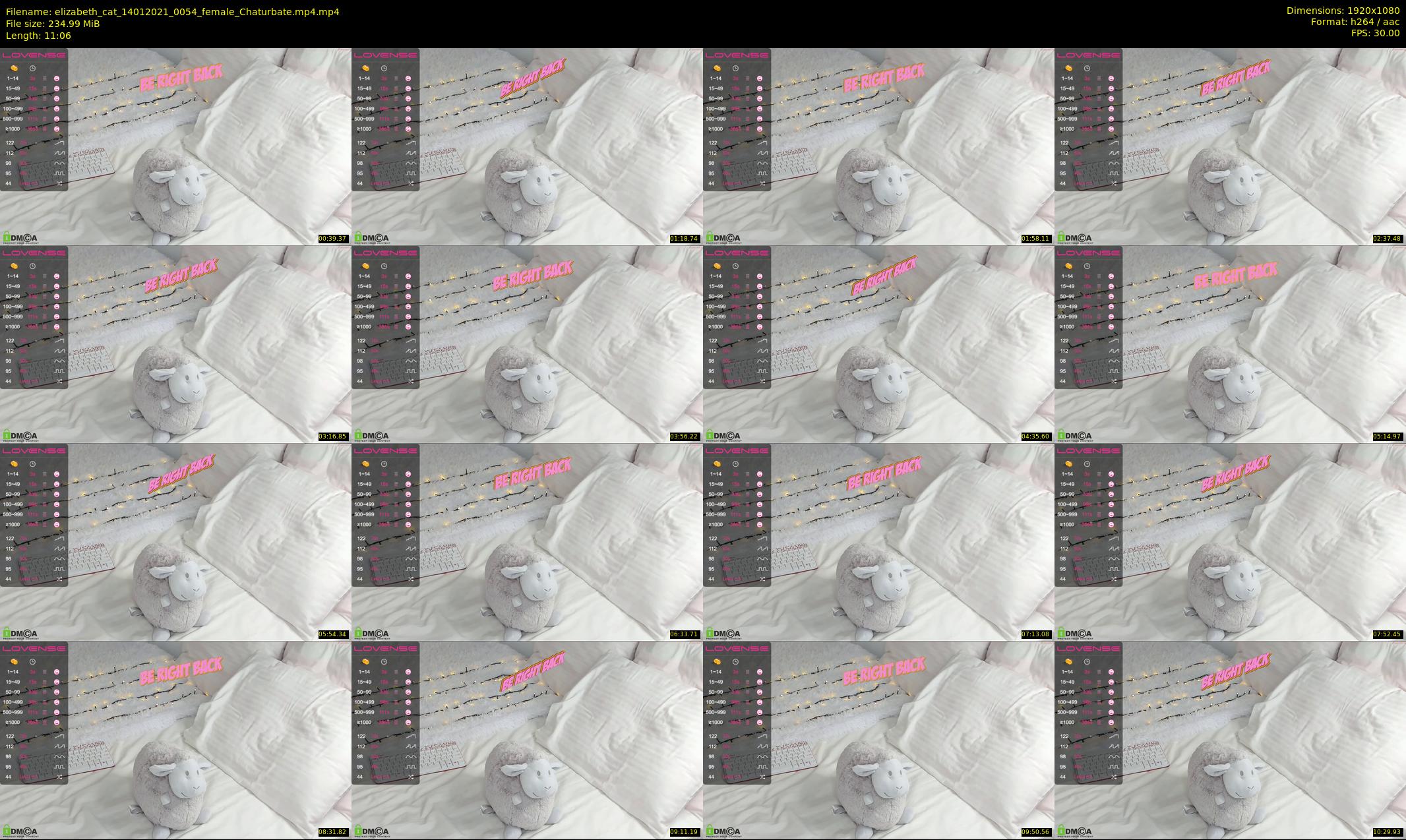 elizabeth_cat — 12 minute Chaturbate female cam show recording, 1080p, Jan 14, 2021