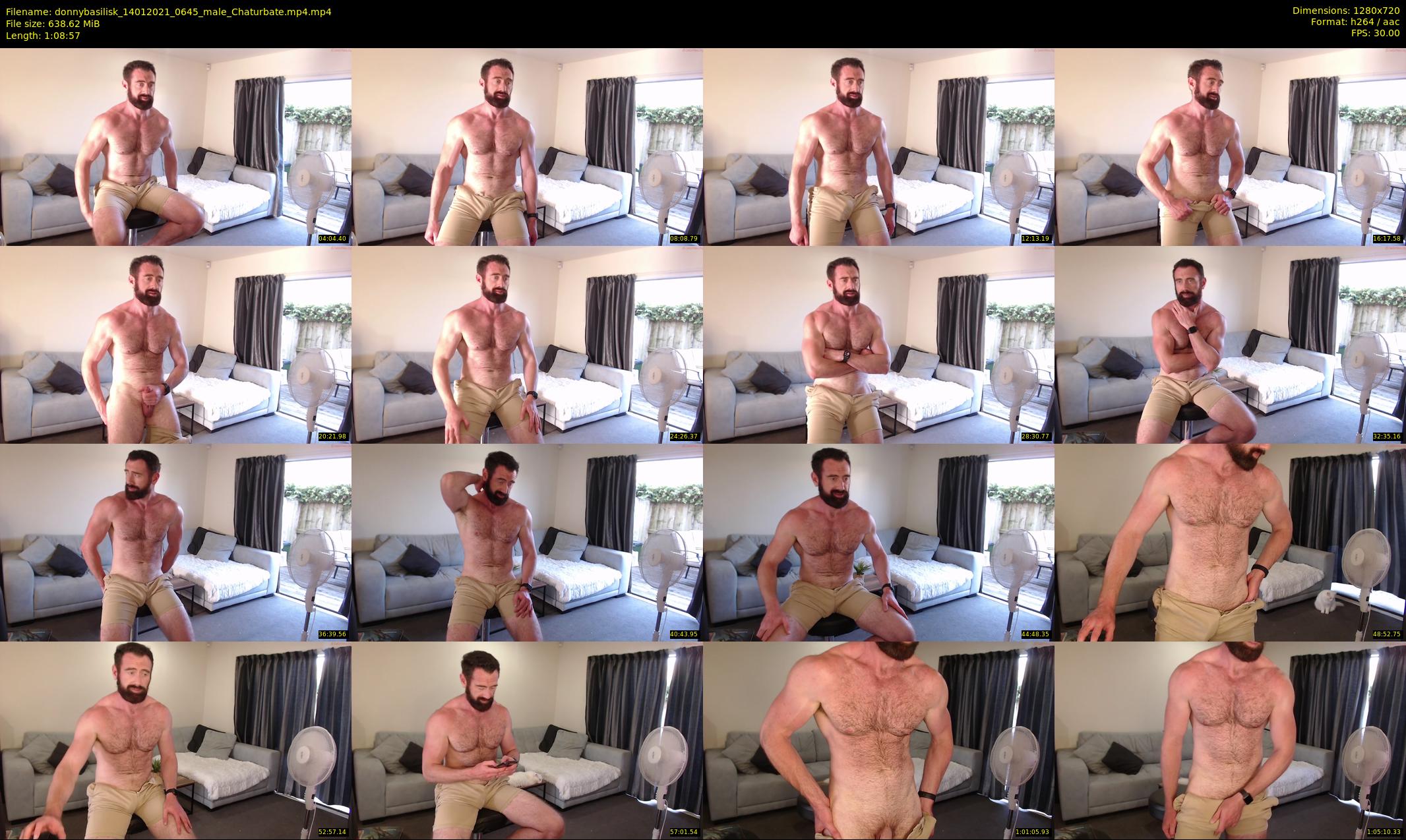 donnybasilisk — 69 minute Chaturbate male cam show recording, 720p, Jan 14, 2021