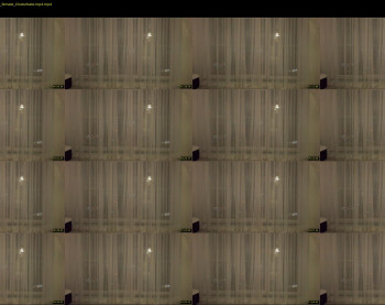 belka22 — 13 minute Chaturbate female cam show recording, 1080p, Jan 17, 2021