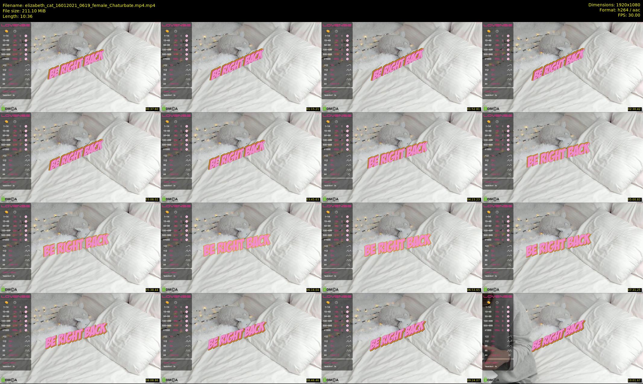 elizabeth_cat — 11 minute Chaturbate female cam show recording, 1080p, Jan 16, 2021