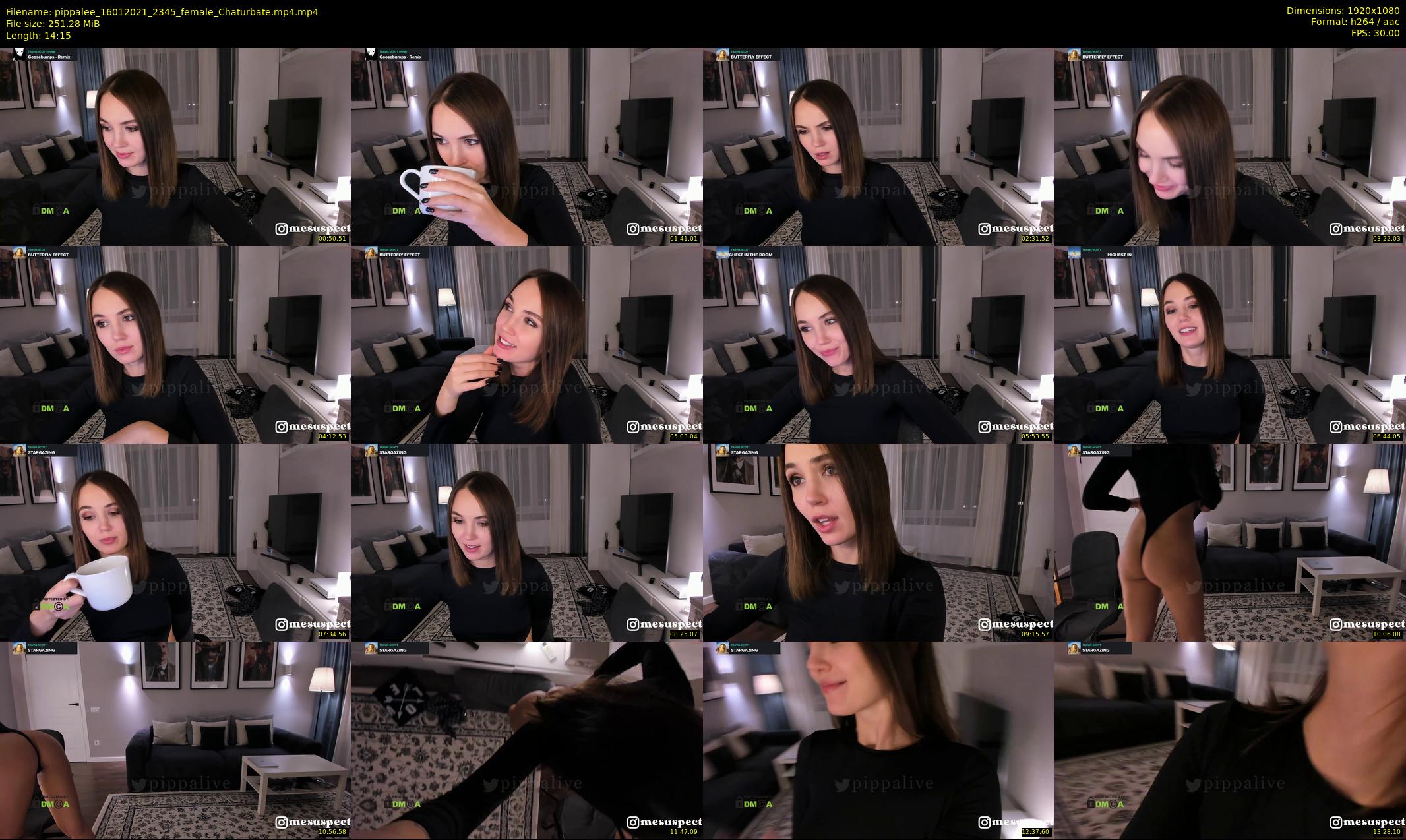 pippalee — 15 minute Chaturbate female cam show recording, 1080p, Jan 16, 2021